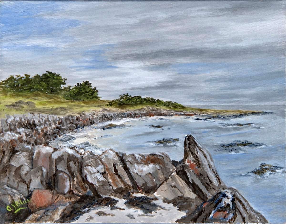 Along the Irish Coast ‐ Acrylic ‐ Canvas ‐ 11 x 14 x 1.5"